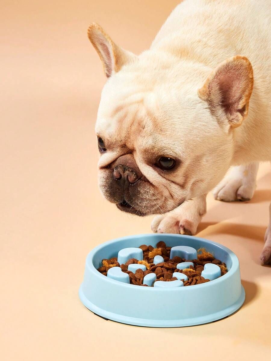 Feeding & Hydration Accessories