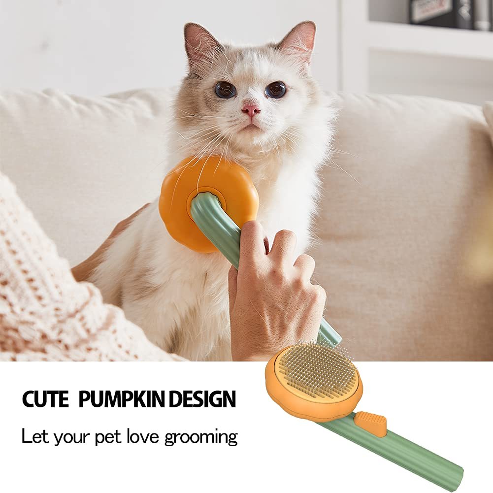Pet Pumpkin Brush.