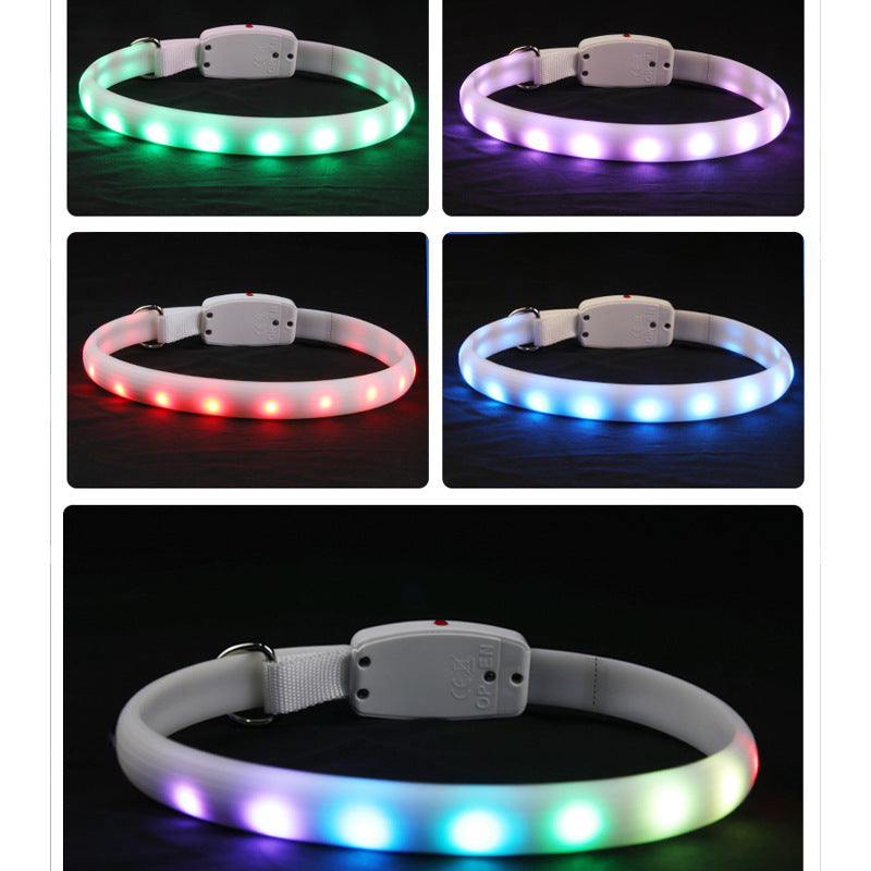 USB Rechargeable Pet Dog LED