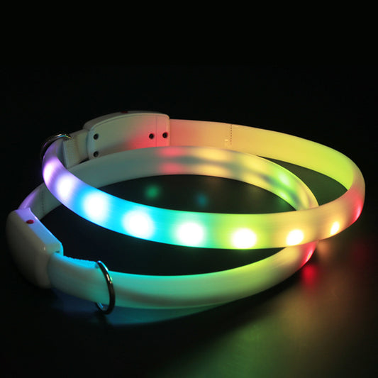 USB Rechargeable Pet Dog LED