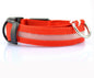 Safety Dog LED Collar