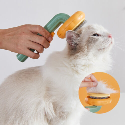 Pet Pumpkin Brush.