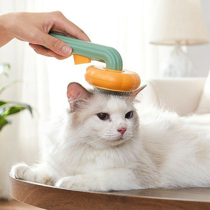 Pet Pumpkin Brush.