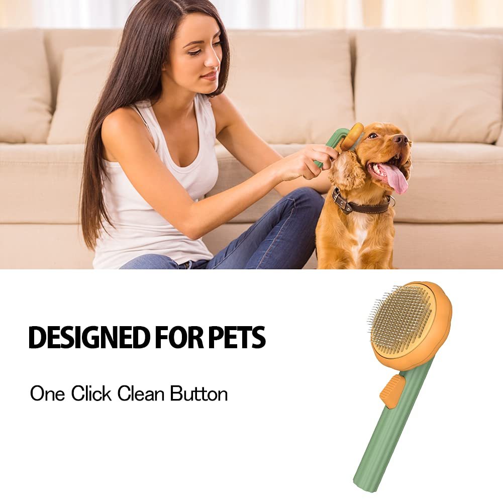 Pet Pumpkin Brush.
