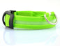 Safety Dog LED Collar