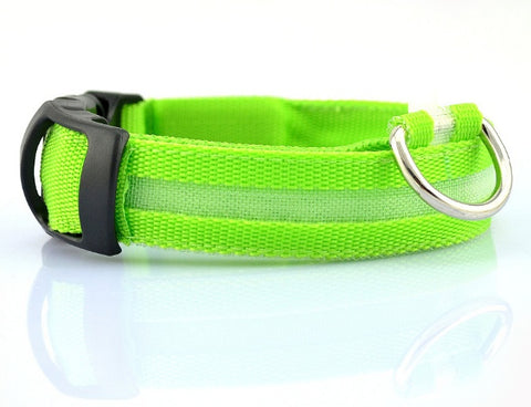 Safety LED Dog Collar – Rechargeable Glowing Night Walking Collar