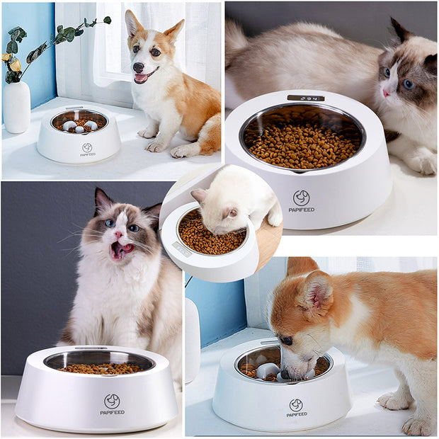 Smart Dog & Cat Slow Feeder Bowl – Weighing Pet Food Dish
