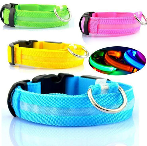 Safety LED Dog Collar – Rechargeable Glowing Night Walking Collar