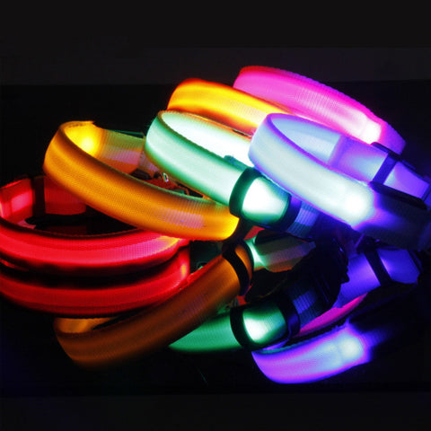 Safety LED Dog Collar – Rechargeable Glowing Night Walking Collar