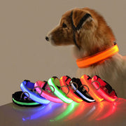 Safety LED Dog Collar – Rechargeable Glowing Night Walking Collar