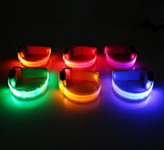 Safety LED Dog Collar – Rechargeable Glowing Night Walking Collar