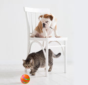 Smart Self-Rotating Cat Ball Toy – USB Rechargeable
