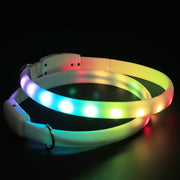 USB Rechargeable LED Dog Collar – Glowing Night Safety Light