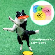 Silicone Flying Saucer Dog & Cat Toy – Interactive Chew & Fetch Disc