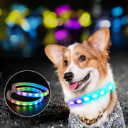 USB Rechargeable LED Dog Collar – Glowing Night Safety Light