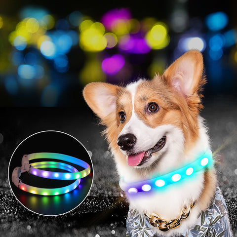 USB Rechargeable LED Dog Collar – Glowing Night Safety Light